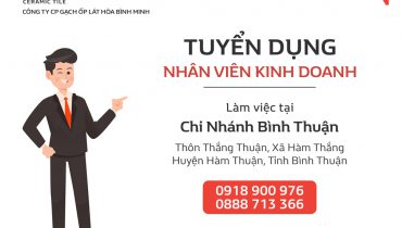 Tuyển dụng Nhân viên Kinh doanh tại Chi nhánh Bình Thuận. 