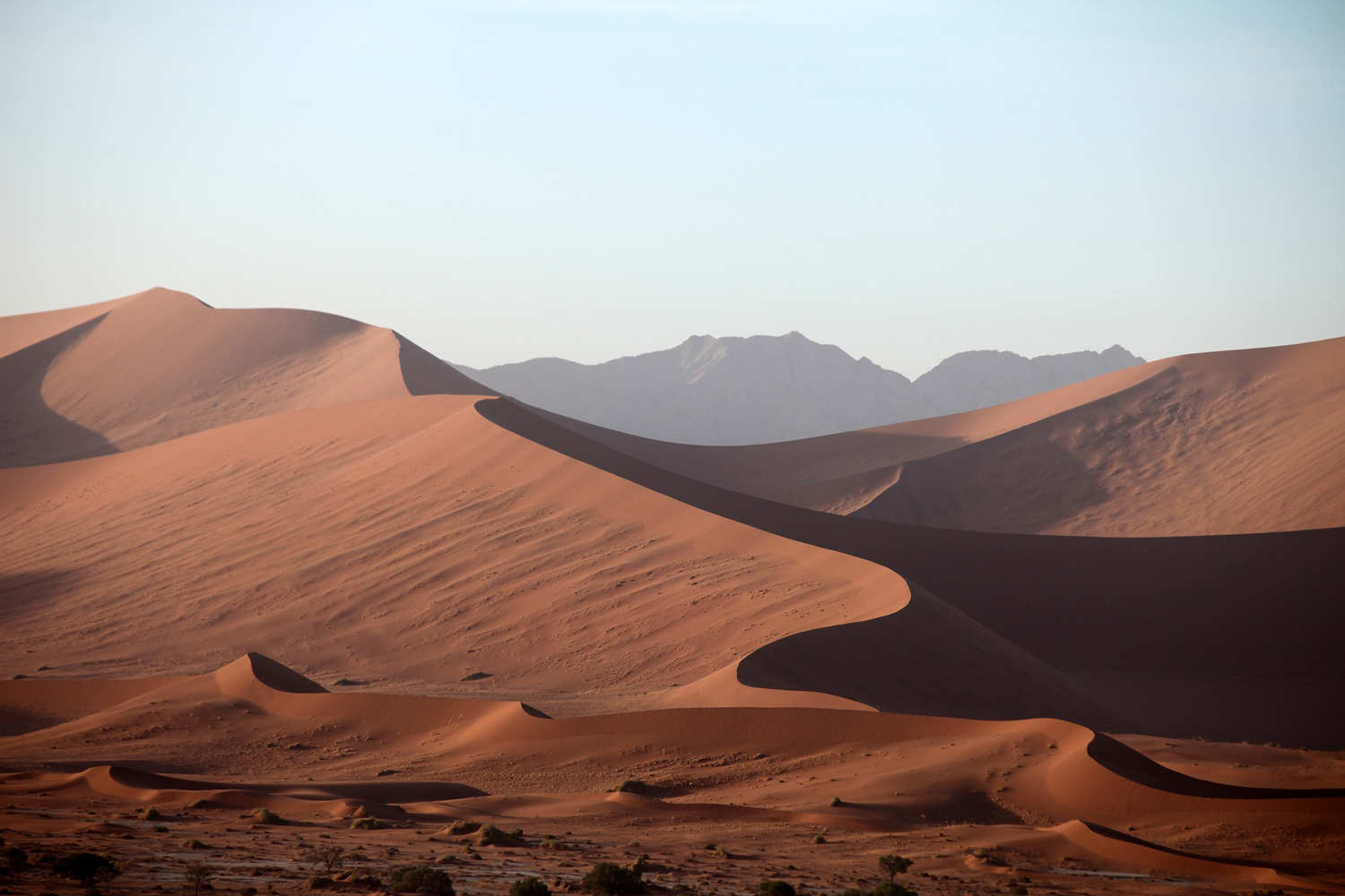 Cảm hứng từ cồn cát Namibia trải dài siêu thực