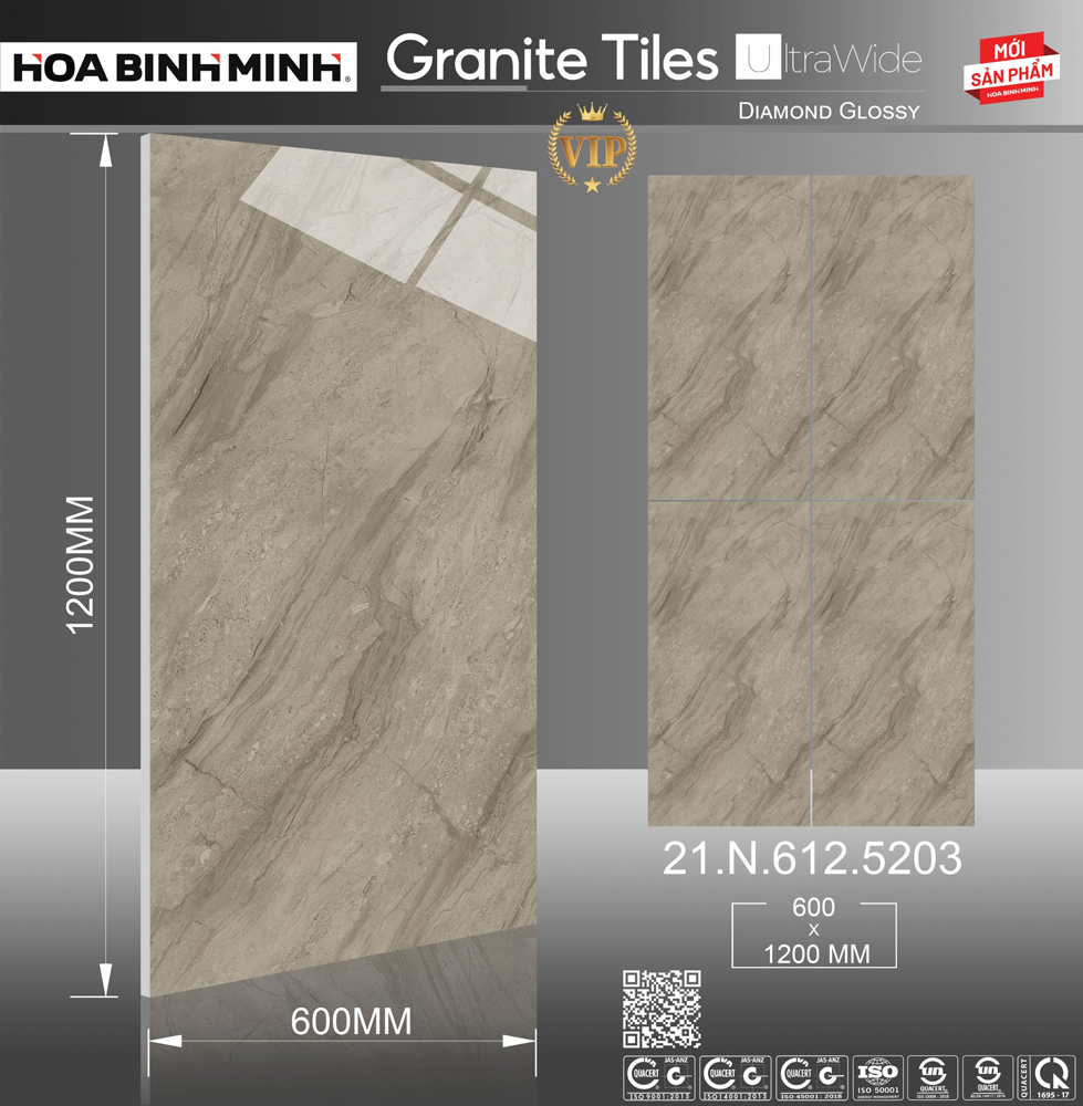 Tone nâu đất độc lạ, ấn tượng trong mã gạch Granite - 21.N.612.5203 với kích thước 600x1200mm