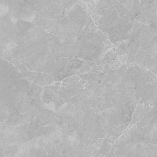 Gạch lát nền VGC 88502