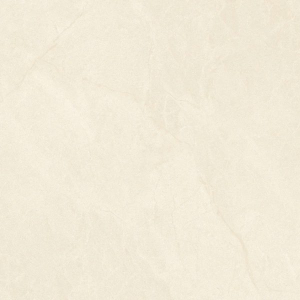 Gạch lát nền VGC 88503