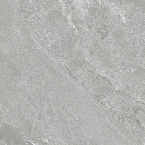 Gạch lát nền VGC 88505