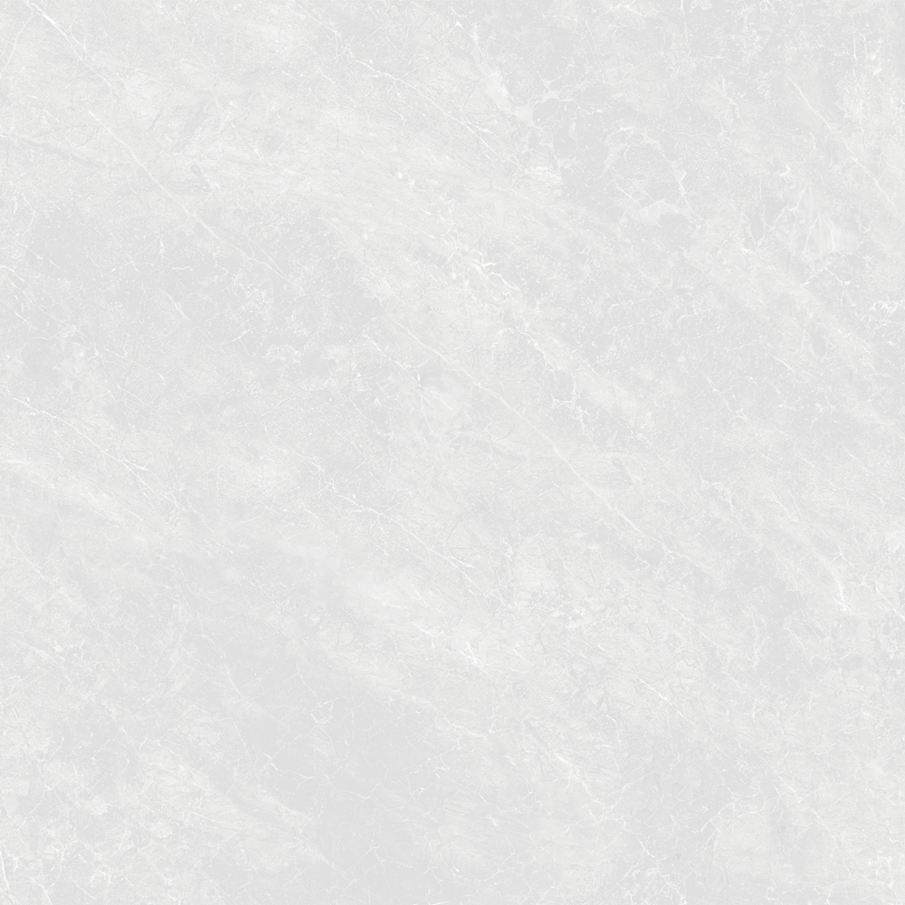 NV-63003